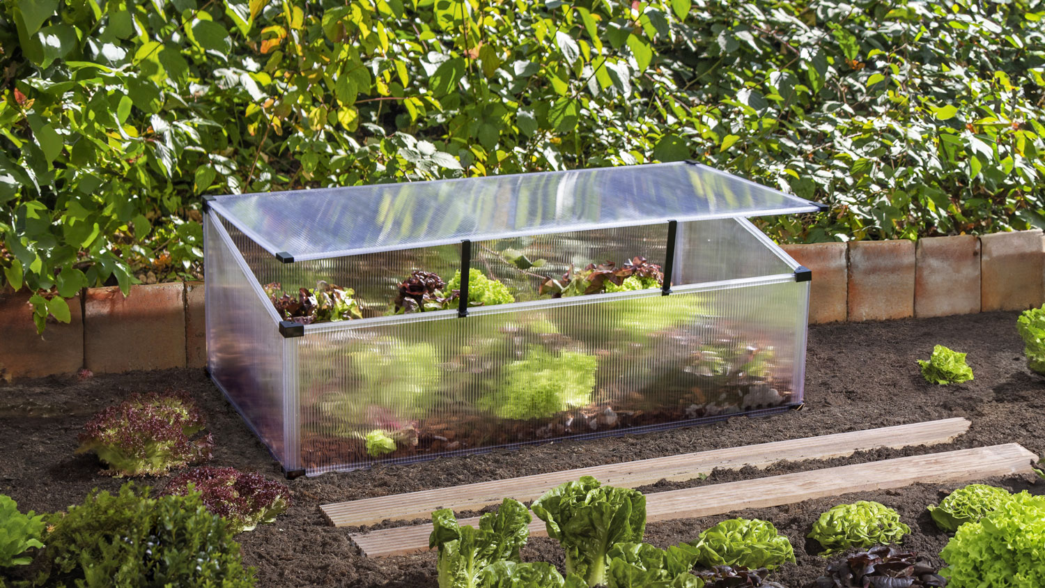Frühbeet Feronia mit Pultdach, Farbe: Transparent, verglast mit: Hohlkammerplatten (HKP)