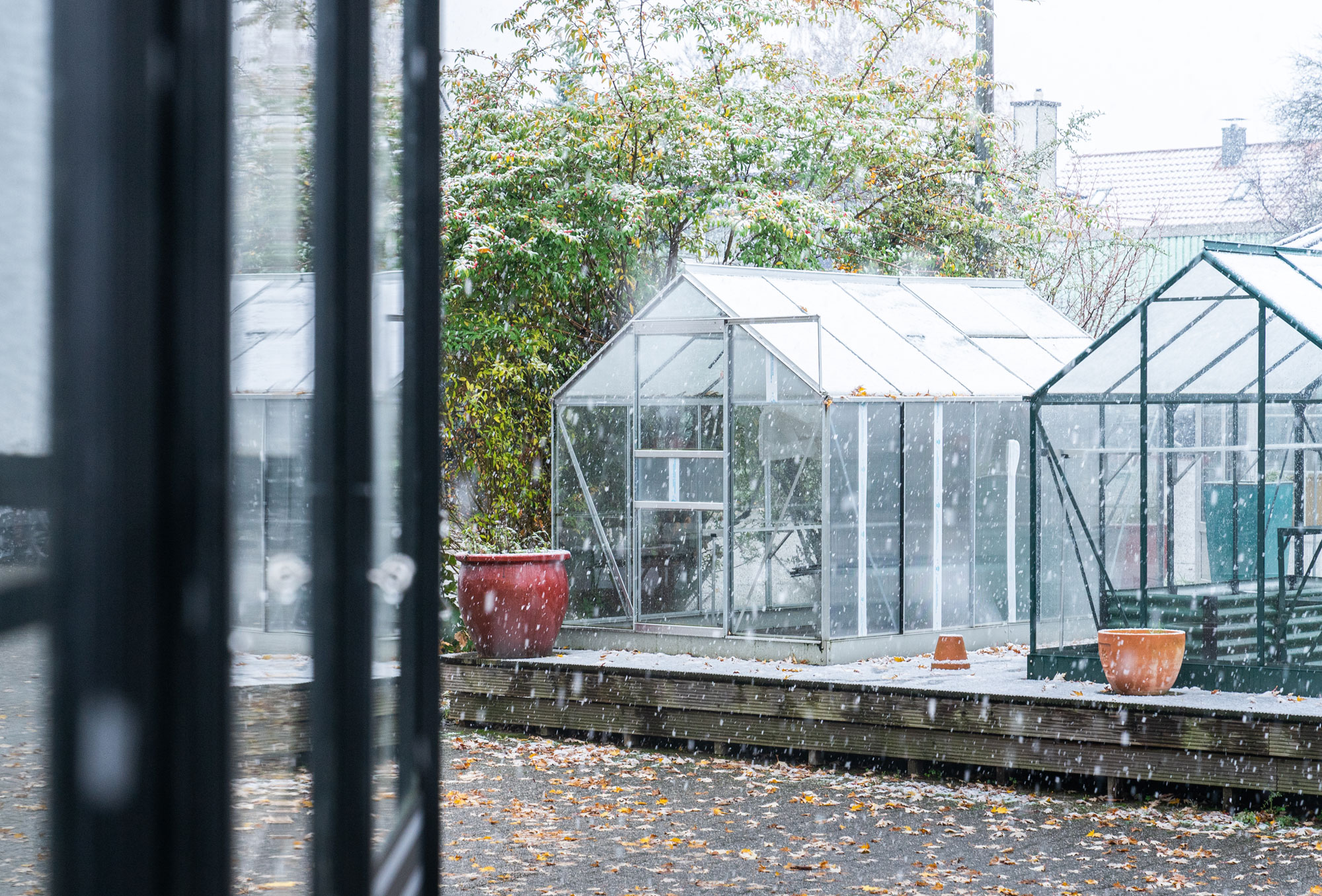 Vitavia-Gewächshäuser  auf dem eph Schmidt Gelände in verschneiter Winterumgebung