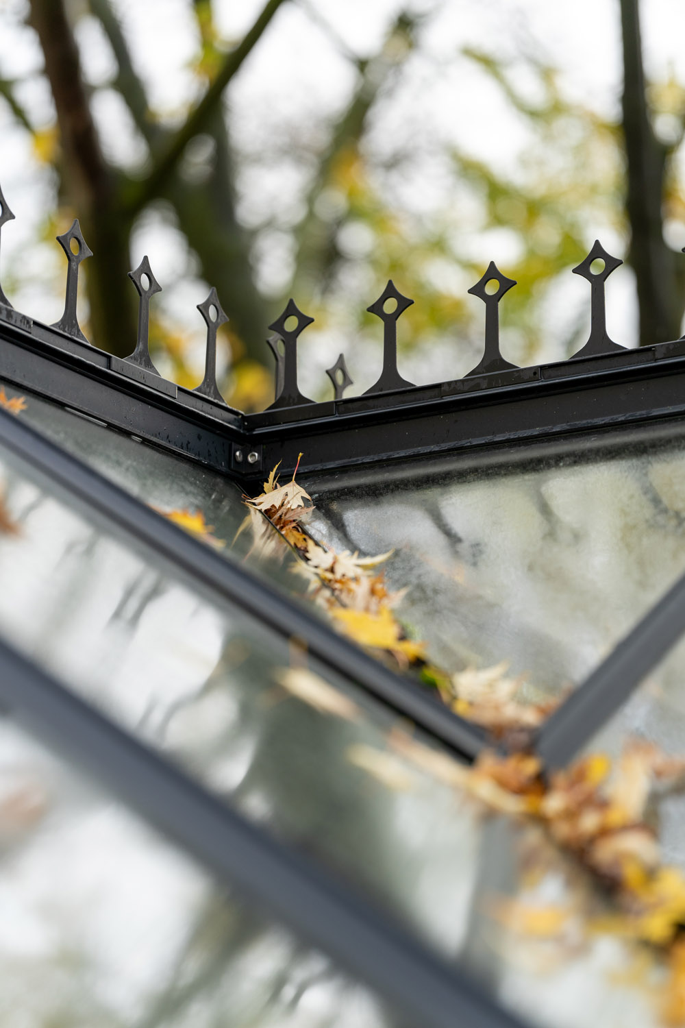 Detailaufnahme vom Dach des Vitavia-Gewächshaus Sirius mit Firstkrone auf dem eph Schmidt Gelände in träumerischer Herbstumgebung mit etwas Laub auf dem Dach.