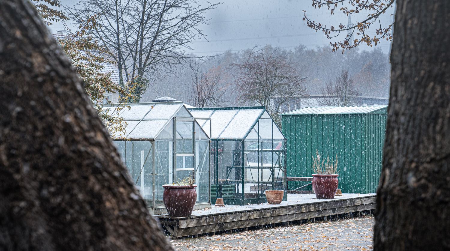 Vitavia-Gewächshäuser  auf dem eph Schmidt Gelände in träumerischer Winterumgebung mit leichtem Schnee. Im Hintergrund ist noch ein Metallgerätehaus  von Globel zu und Park zu sehen.