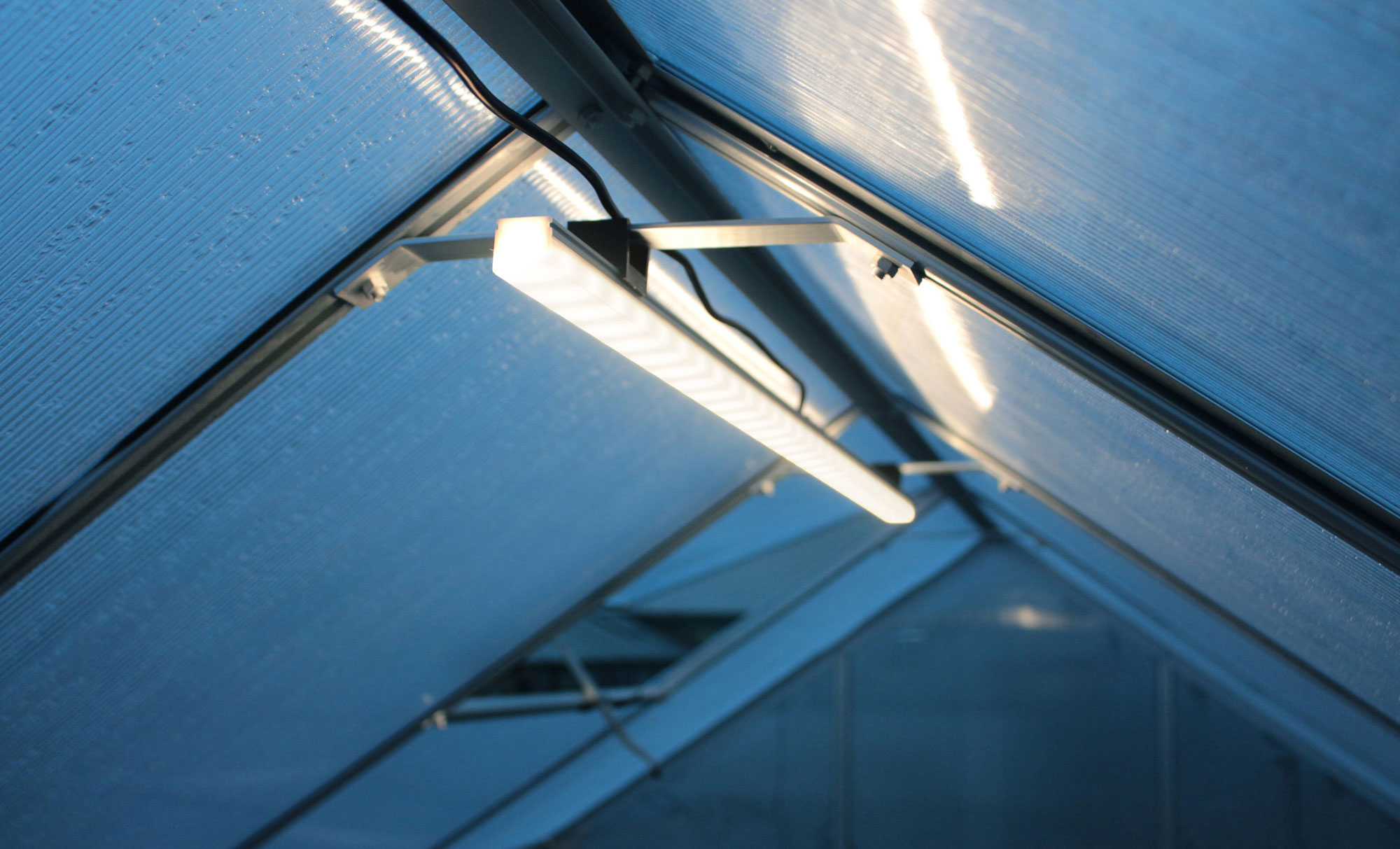 Gewächshaus Uranus-Set mit LED-Leuchte 8300 mit Satteldach, Farbe: Schwarz pulverbeschichtet, verglast mit: Sicherheitsglas (ESG)