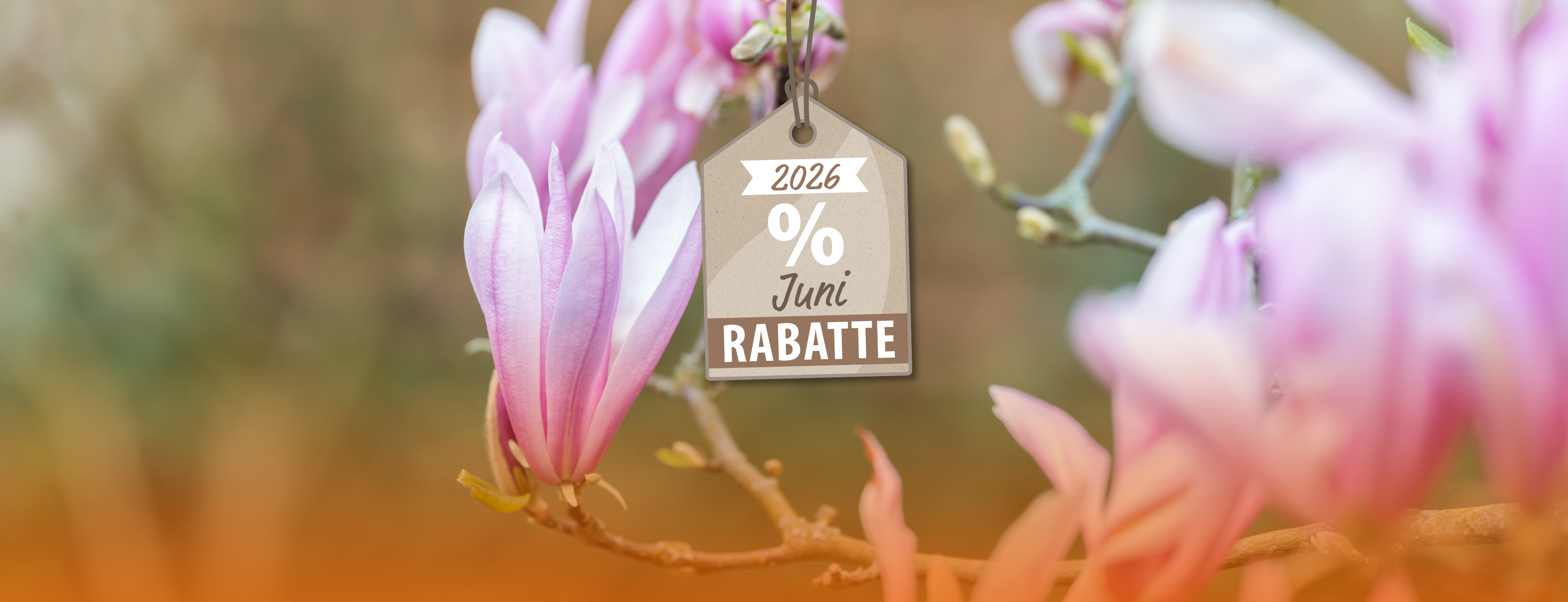 Sommerstart mit Sparvorteil: bis zu 25 % Rabatt im Juni