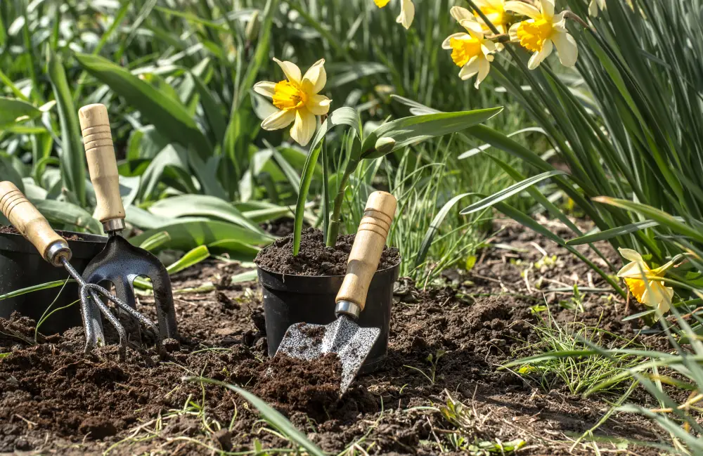 Die Gartensaison 2026 startet jetzt
