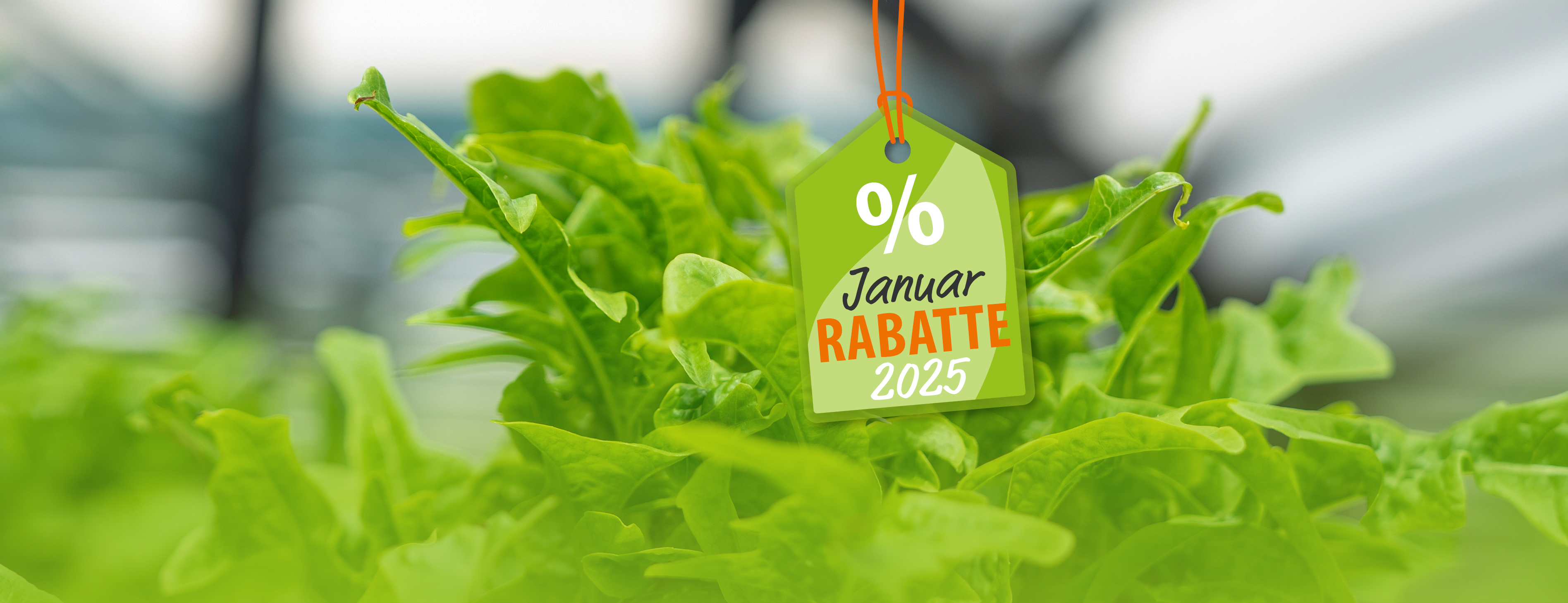 01_Header_Webbanner_Januar_2025