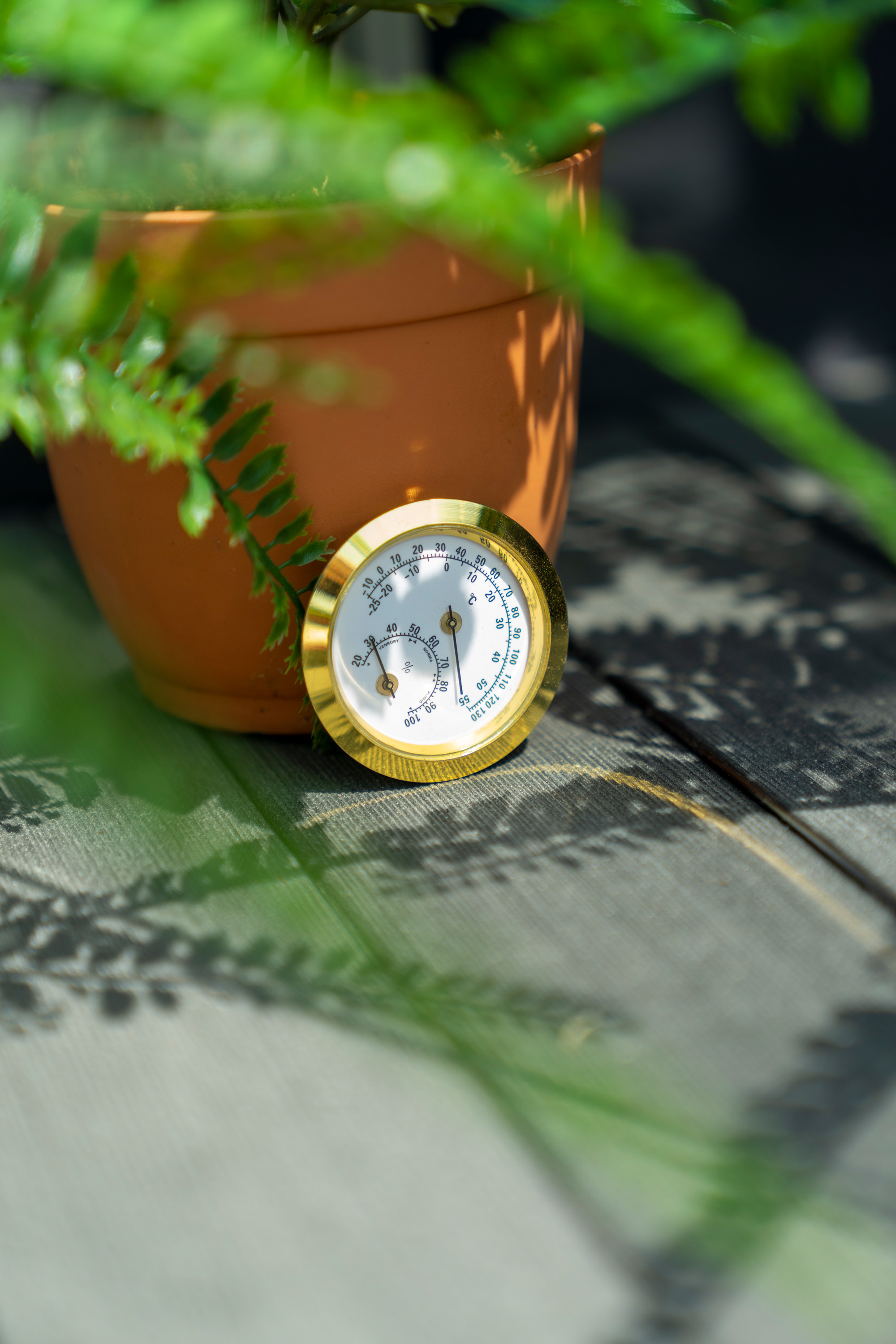 Hygrometer