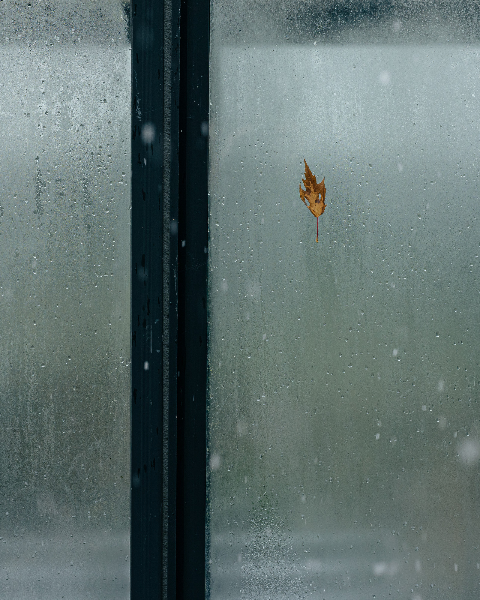 Winter GWH