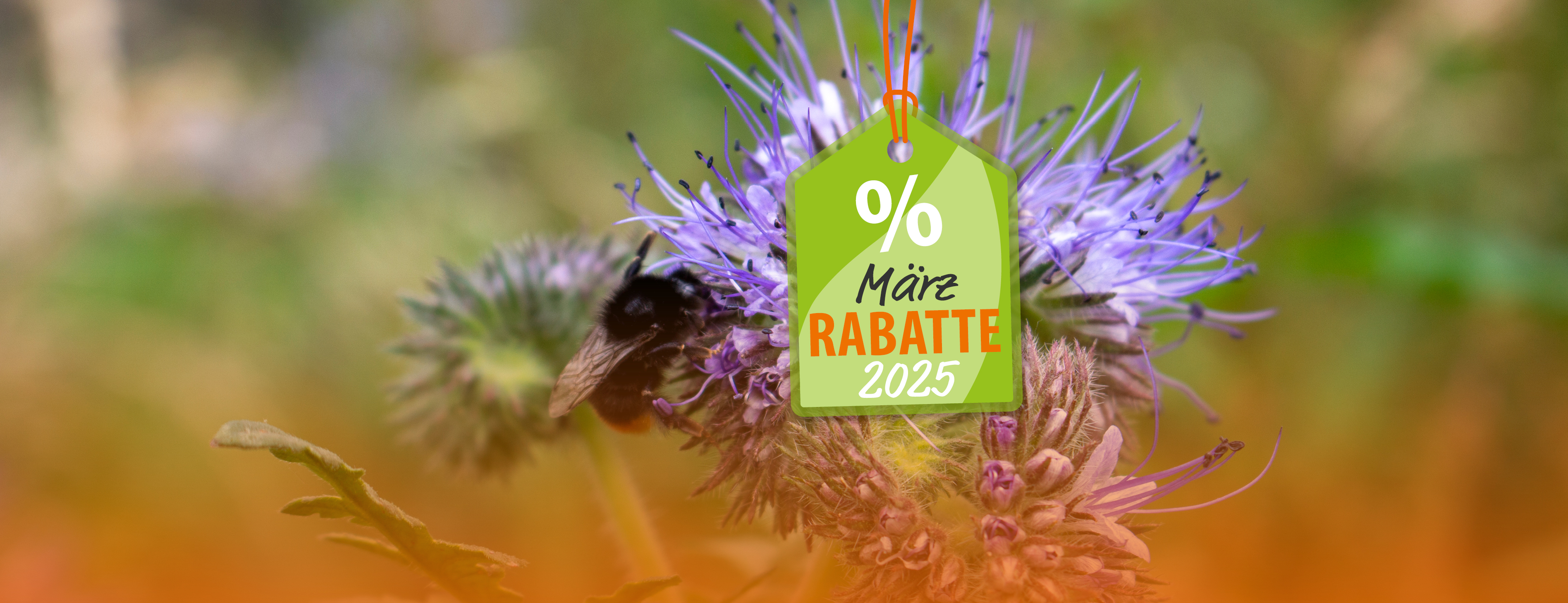 Header_Angebote_Maerz_2025