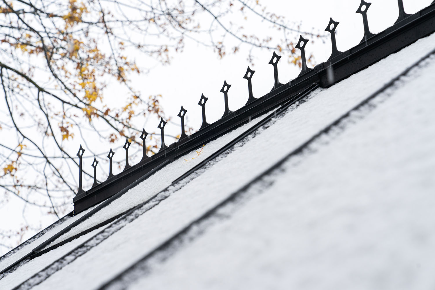 Detailaufnahme vom Dach des Vitavia-Gewächshäus Sirius mit Firstkrone auf dem eph Schmidt Gelände in träumerischer Winterumgebung mit leichtem Schnee